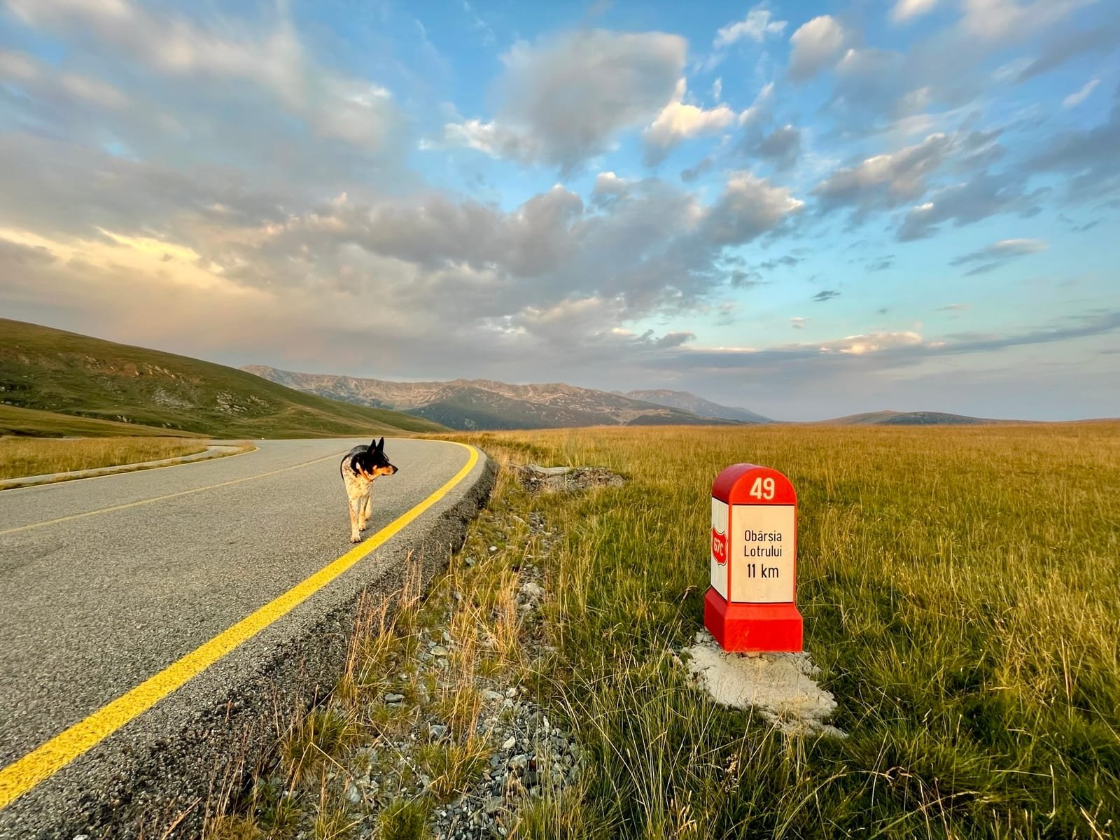 A mountain road, the Transalpina, winding through grassland under a summer sky.